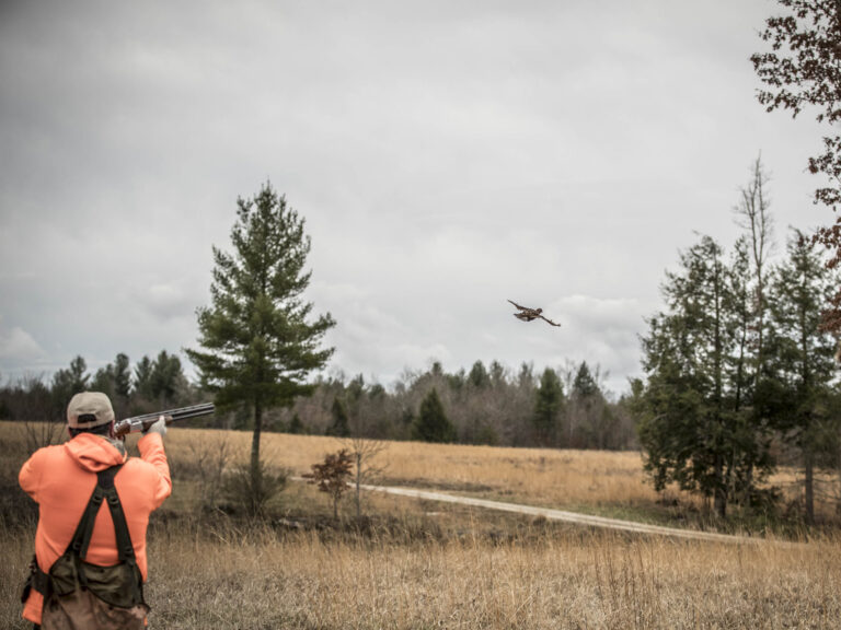 Springfontein Hunting The Hunt | Sawbriar Hunting
